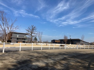 IMG_6003.jpeg