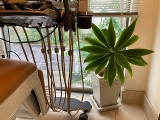 image-f0835.jpg
